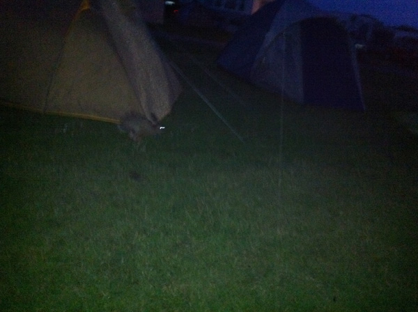 sylt05